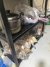 美亿莱 厨房置物架落地不锈碳钢家用微波炉收纳储物架烤箱架子多层 【3层碳钢加厚】长40宽30高80 实拍图