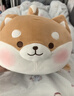 名创优品（MINISO）趣味阿柴趴姿毛绒公仔玩偶抱枕玩具靠枕娃娃送礼儿童生日礼物女 实拍图