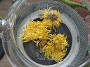 福茗源 花草茶 金丝皇菊 菊花茶一杯一朵50-60朵大朵菊花泡水喝25g/罐 实拍图