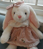 威尔通（WELTSTON）毛绒玩具布娃娃抱枕玩偶摆件儿童生日新年礼物礼品女垂耳兔子公仔 实拍图