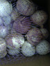 玉燕妃云南正宗新鲜紫皮独头大蒜独蒜干蒜 农家露天自种助农生鲜蔬菜 3.5-4cm独头紫皮大蒜干蒜4斤 实拍图
