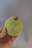 京鲜生 新疆特级库尔勒香梨 净重5斤单果120g以上 生鲜水果 实拍图