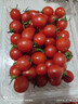 新鲜圣女果小西红柿小番茄新鲜蔬菜生鲜减肥减脂早餐沙拉现摘现发 畅销装 2斤 带箱 实拍图