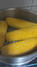 十月稻田 黄甜糯玉米 8根 3.52斤 真空包装 东北粘玉米棒 低脂早餐 实拍图