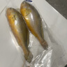 三都港 冷冻黄花鱼700g/2条装 宁德大黄鱼 深海鱼 生鲜鱼类 海鲜 年货 实拍图
