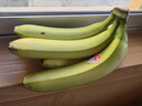 佳农 进口大把香蕉净重2.4斤 家庭装 生鲜水果 源头直发 包邮 实拍图