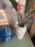 京东鲜花复古陶瓷花瓶水培插花粗陶花器简约轻奢玄关家居客厅装饰摆件春节 实拍图