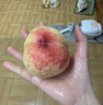 山东冬桃脆甜毛桃蜜桃雪桃水果冬桃桃子脆甜多汁新鲜冬桃-沐真 带箱9斤 实拍图