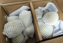 京鲜生山东烟台莱阳秋月梨净重4.5斤单果350g+ 新鲜水果 源头直发包邮 实拍图