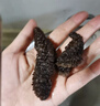 胖东来同款干海参一斤500g干货散装批发40头即食独立包装淡干海参 深海干海参【60-70根】 九年干海参 晒单实拍图