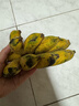 广西网红小米蕉青香蕉发货密封放熟吃新鲜水果皮薄肉厚 带箱2斤青蕉发货 实拍图
