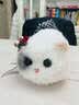 WALULU陪伴智能机器人电子宠物仿生猫咪AI情感毛绒玩具桌面迷你玩伴养成系语音对话潮流节日中秋礼物女生 京仓直送【雪域白】超柔亲肤 陪伴治愈 仿生萌宠 实拍图