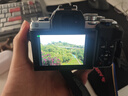 奥林巴斯（OLYMPUS）E-M10 MarkIV EM10四代 微单相机 数码相机 微单套机（14-42mm & 40-150mm）双镜头 银色 实拍图
