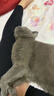 多特思猫零食猫条0添加0诱食剂防掉毛软猫咪罐头幼猫批发混合口味猫条 【店长推荐】混合口味110支【送收纳箱】 实拍图