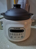 苏泊尔（SUPOR）电炖锅 电炖盅 电砂锅 煲汤锅炖汤锅 燕窝炖盅 煮粥锅 电煮锅 婴儿辅食锅 紫陶 DG30YC816多功能锅 实拍图