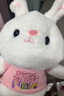 爱尚熊兔子玩偶毛绒玩具小女孩布娃娃送女生生日新年礼物女儿童抱枕公仔 实拍图