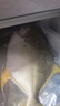 翔泰海南二去金鲳鱼700g/2条 去鳃去内脏 年货节生鲜鱼类  海鲜水产  实拍图