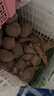 京鲜生山东烟薯25号蜜薯(已糖化) 净重4.5斤 精选中果150-400g 源头直发 实拍图
