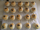 展艺 咸蛋黄200g20粒装 蛋黄酥红心流油鸭蛋黄 粽子青团馅料烘焙原料 实拍图