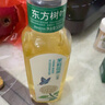 农夫山泉 东方树叶茉莉花茶500ml*15瓶无糖茶饮料0糖0脂0卡整箱装热门商品 实拍图