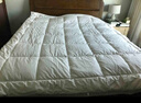1号会员店100%天然新疆棉花被纯棉被芯冬季厚被保暖无网全棉胎2.0x2.3米8斤 实拍图