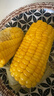 【新鲜甜玉米】现摘新鲜水果玉米新鲜甜玉米棒生鲜蔬菜可生吃早餐 新鲜水果玉米 2斤 带箱 300g起 实拍图