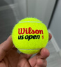Wilson威尔胜美网联名RD罐装网球 3只装 实拍图