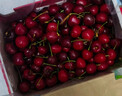 田拾记智利车厘子【JD-多地次日达】新鲜桑提娜等水果樱桃送年货礼品盒 5kg(净重) 【臻选10斤丨进口原箱装】 巨无霸 3J级 30-32mm丨超大超甜 实拍图