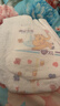 弗尼小象拉拉裤旗舰[多仓京配送货上门一般次日达]全包臀一体裤尿不湿 一包拉拉裤XL42片 实拍图