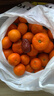 【产地直发】正宗广西金秋砂糖橘棉橘水果新鲜当地砂糖橘橘子新鲜 砂糖橘带箱5斤 实拍图