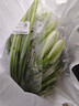 四季豆300g(架豆） 实拍图