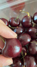 京鲜生 智利进口车厘子2J级450g装 果径约28-30mm 新鲜水果 实拍图