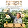 仁和冻干柠檬片优选四川安岳尤力克大果柠檬干片泡水蜂蜜独立包装 实拍图
