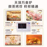 松下（Panasonic）上烤下蒸万食炉高效速热均匀着色23L家用台式变频微蒸烤炸一体机DS37 实拍图