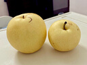 正宗河北皇冠梨 产地直发 现摘现发 脆甜多汁梨子整箱新鲜水果 皇冠梨净重8.5斤 实拍图