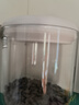 懒角落玻璃密封罐茶叶罐食品级分装咖啡豆存储罐五谷杂粮收纳盒600ml 实拍图