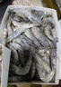 渔游记（YUYOUJI）大大号对虾厄瓜多尔净重3.2斤10-15只/斤南美白虾白虾大虾基围虾 实拍图