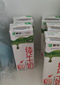 蒙牛全脂纯牛奶200ml*24盒 家庭年货囤货 电商定制 实拍图