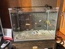 YEE亚甲基蓝鱼缸消毒杀菌观赏鱼锦鲤白点净水烂身烂尾535ml  实拍图