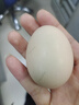 京鲜生可生食标准鲜鸡蛋30枚礼盒装3斤 源头直发 实拍图