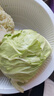 京鲜生山东新鲜绿甘蓝净重5斤单果200g+卷心菜甘蓝新鲜蔬菜 源头直发 实拍图