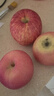 京鲜生 陕西洛川红富士苹果 净重5斤75-80mm单果170g+新鲜水果源头直发  实拍图