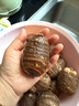 京鲜生&家美舒达 山东牛奶小芋头毛芋头5斤大果50g以上无泥沙净果出口级 实拍图
