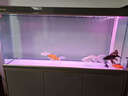 森森（SUNSUN）大型鱼缸底过滤水族箱客厅家用落地玻璃生态金鱼缸 【实时温显+灯控】纳米灰 1.5米长35cm宽 实拍图