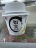 光明如实纯净发酵乳（单杯135g）原味酸牛奶 0蔗糖无添加 健康轻食 【内+洋槐蜂蜜】原味135g*12杯 实拍图