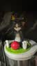 52TOYS TOM&JERRY倒霉的TOM可动盲盒发条公仔整盒4个钜惠促销 实拍图