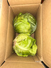高原夏菜新鲜包菜卷心菜绿甘南菜甘蓝圆白菜时令蔬菜健康营养早餐 1.5斤-2斤高端标准菜 实拍图