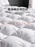 无印良品100%白鹅毛被 羽毛绒丝被子秋冬被芯约5斤【填充1600g】150*200cm 实拍图