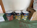 多乐士（Dulux）森呼吸竹炭全效无添加净味儿童漆乳胶漆墙面漆涂料A8106 【森呼吸竹炭儿童漆】5L白漆*2桶-支持调色 实拍图