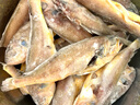 鲜到鲜得 冷冻三去小黄鱼2斤(40-42条) 黄花鱼 舟山小黄鱼 深海鱼 生鲜 实拍图